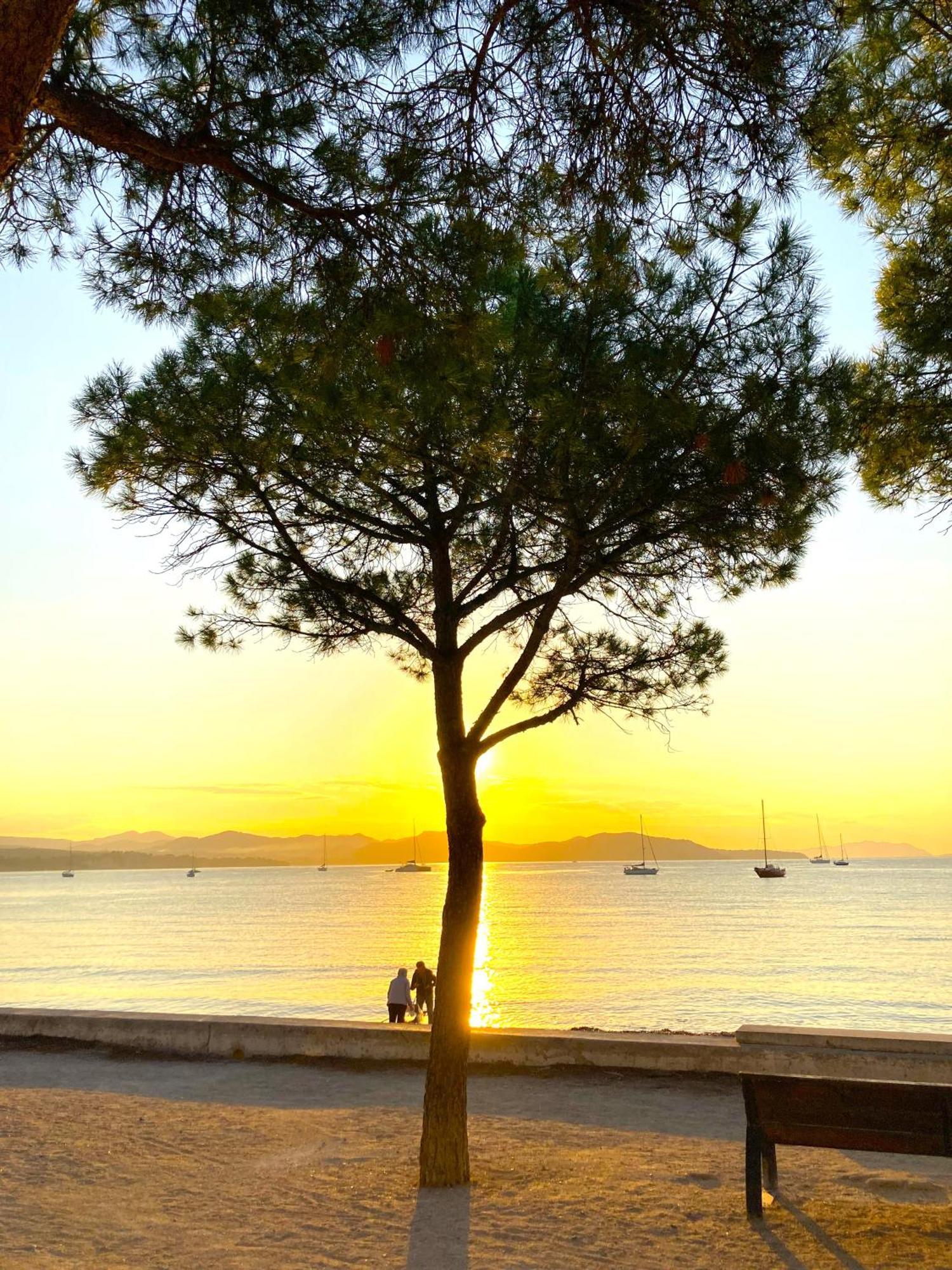 Blue Summer Vibes Appartment For 4P, Ac, Parking, Beachfront, Spa Access -5 La Ciotat Dış mekan fotoğraf